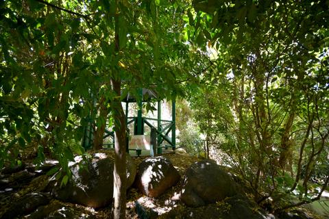 Halls Gap Adventure Golf