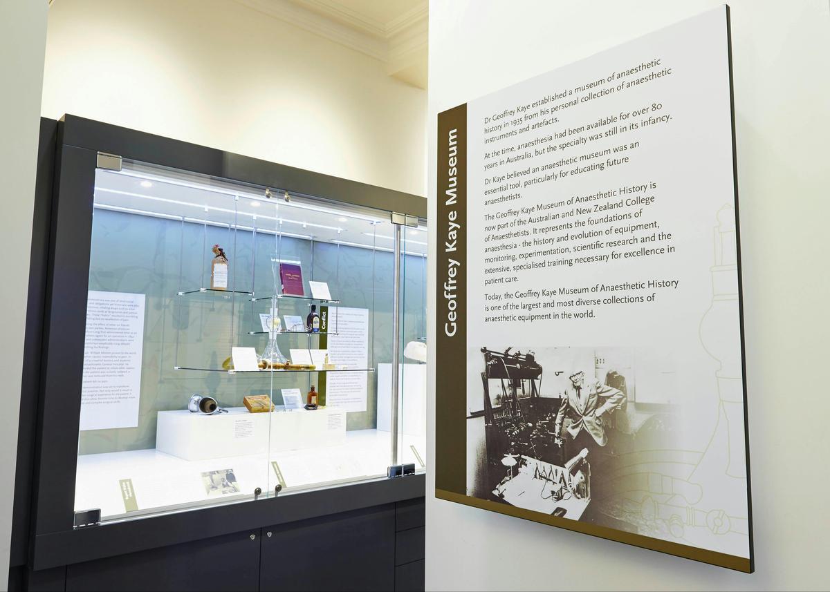 Museum display - introduction