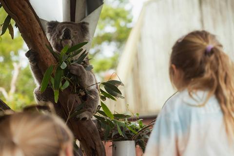 Great Ocean Road Wildlife Park