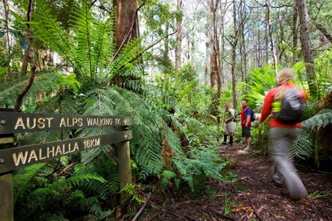 Great Walhalla Alpine Trail