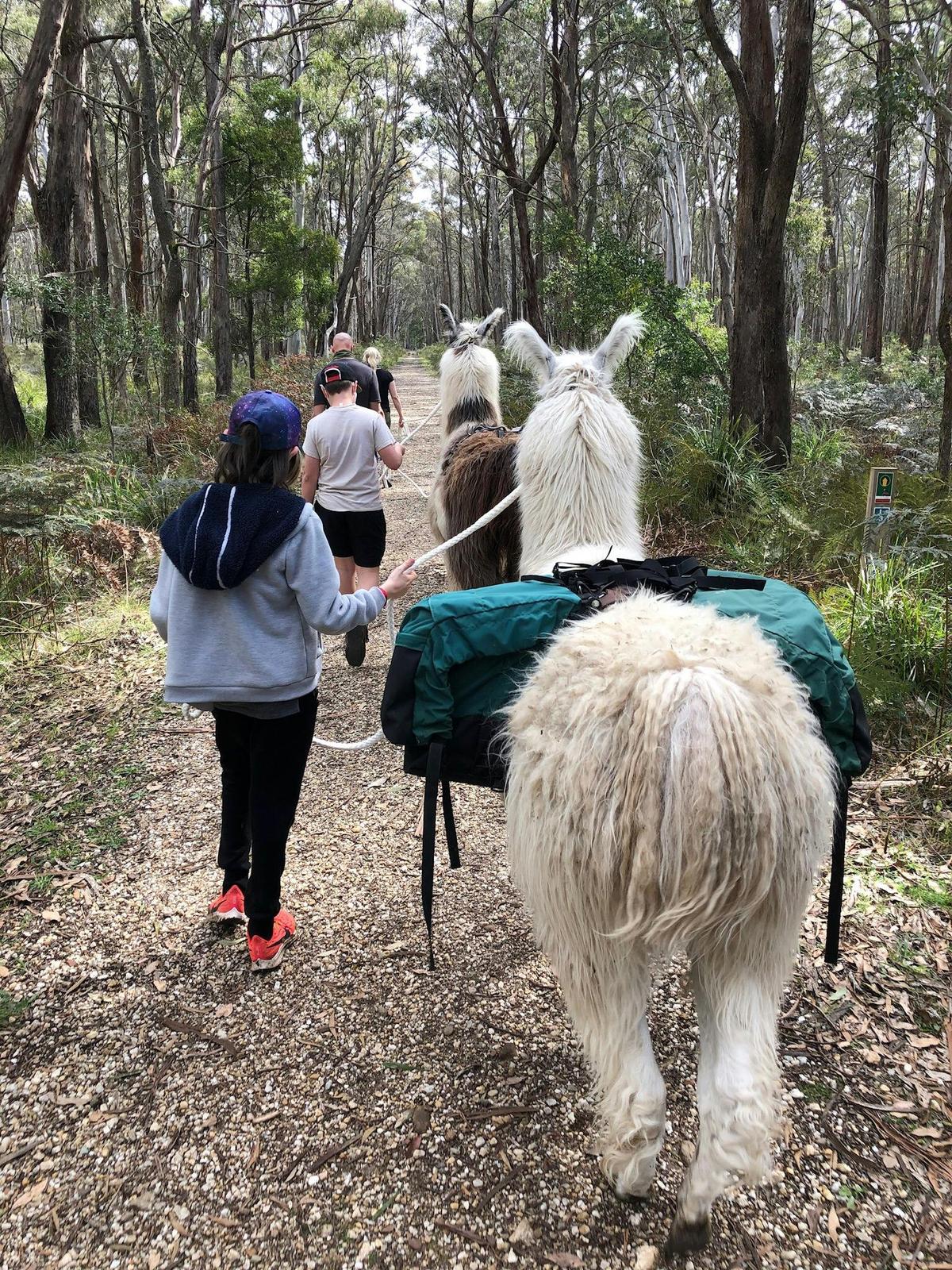 The Domino Rail Trail