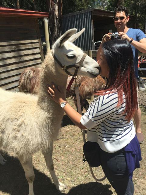 New friends