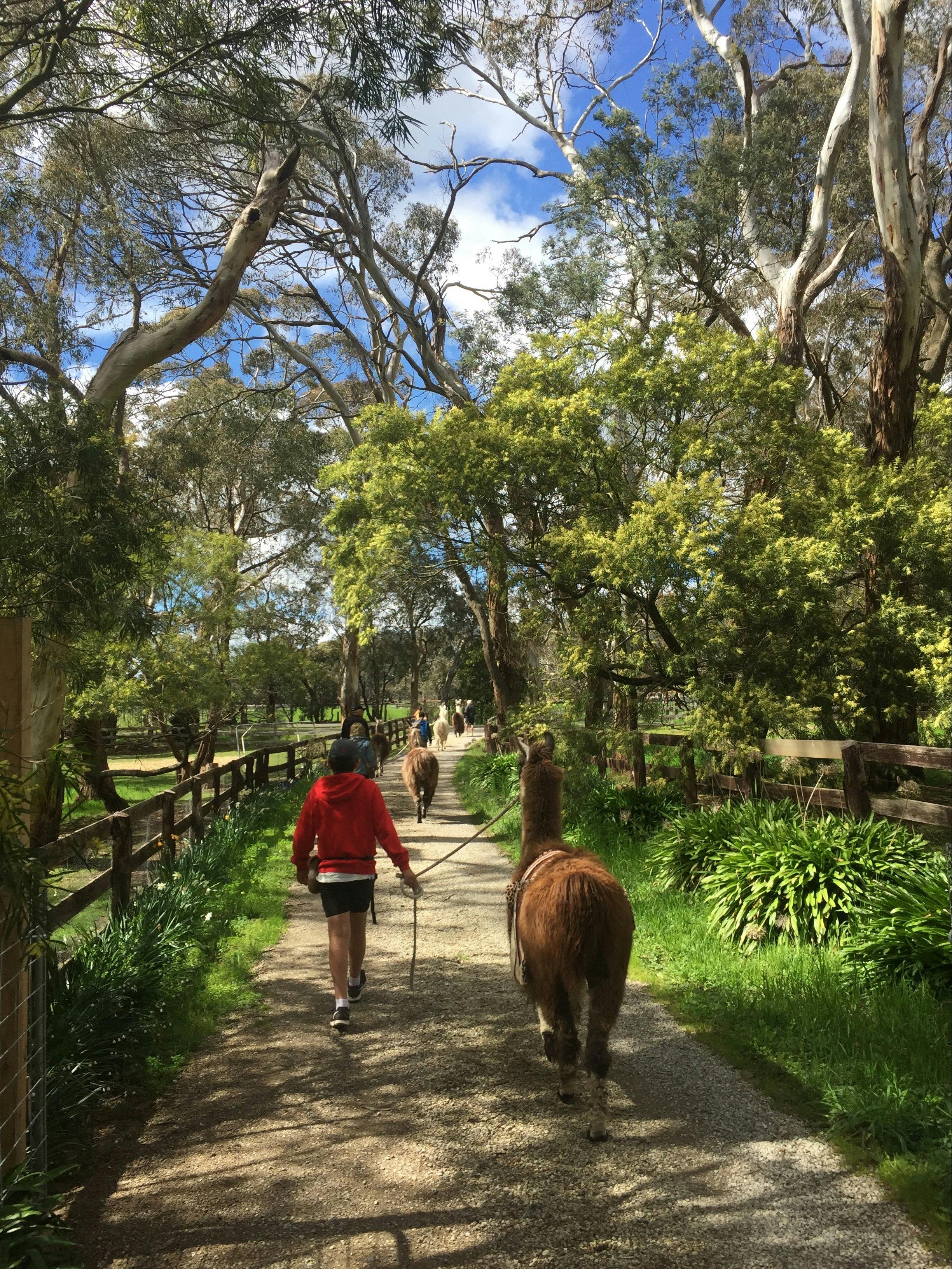 Heading off to Hanging Rock