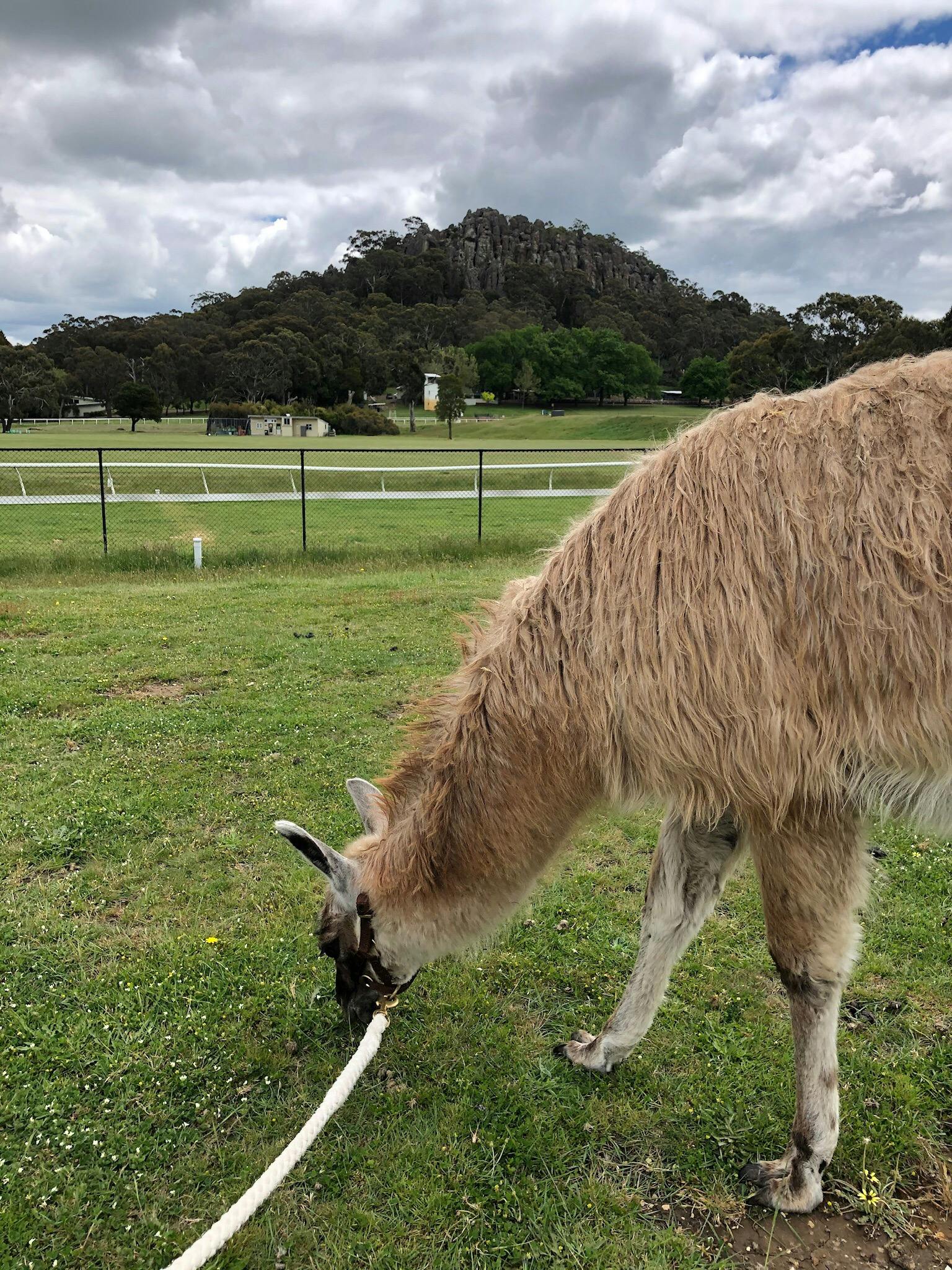 Hanging Rock from the Eastern Paddock.
