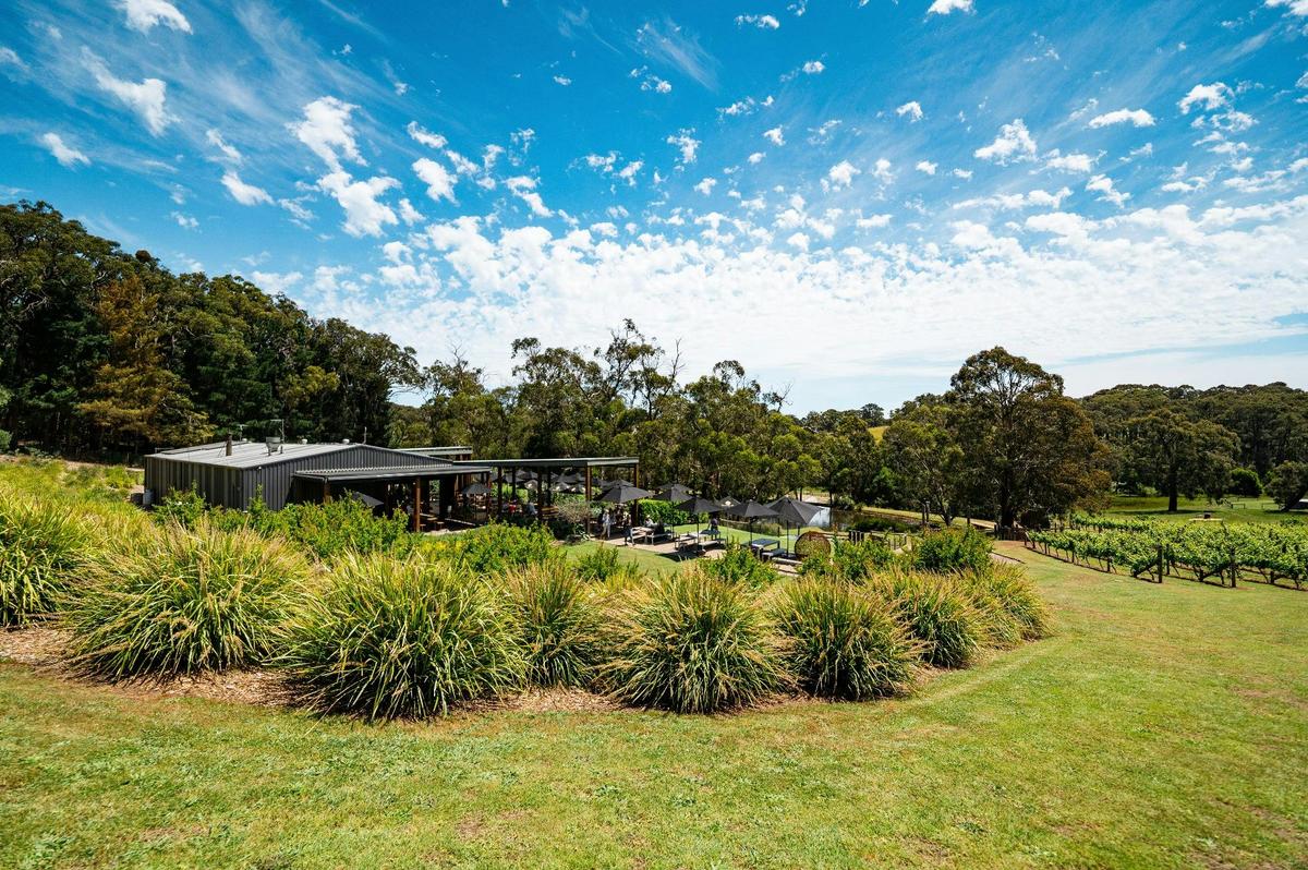 Green Olive at Red Hill
