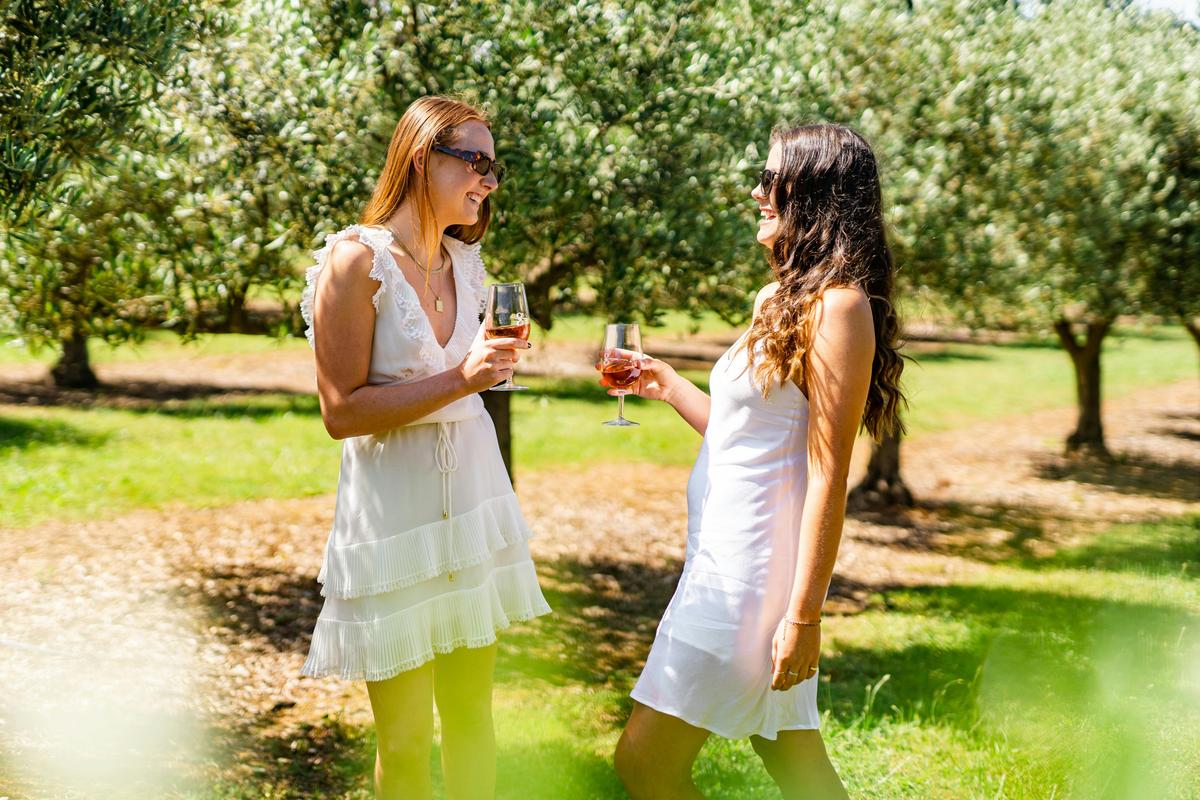 Wine in the Olive Grove