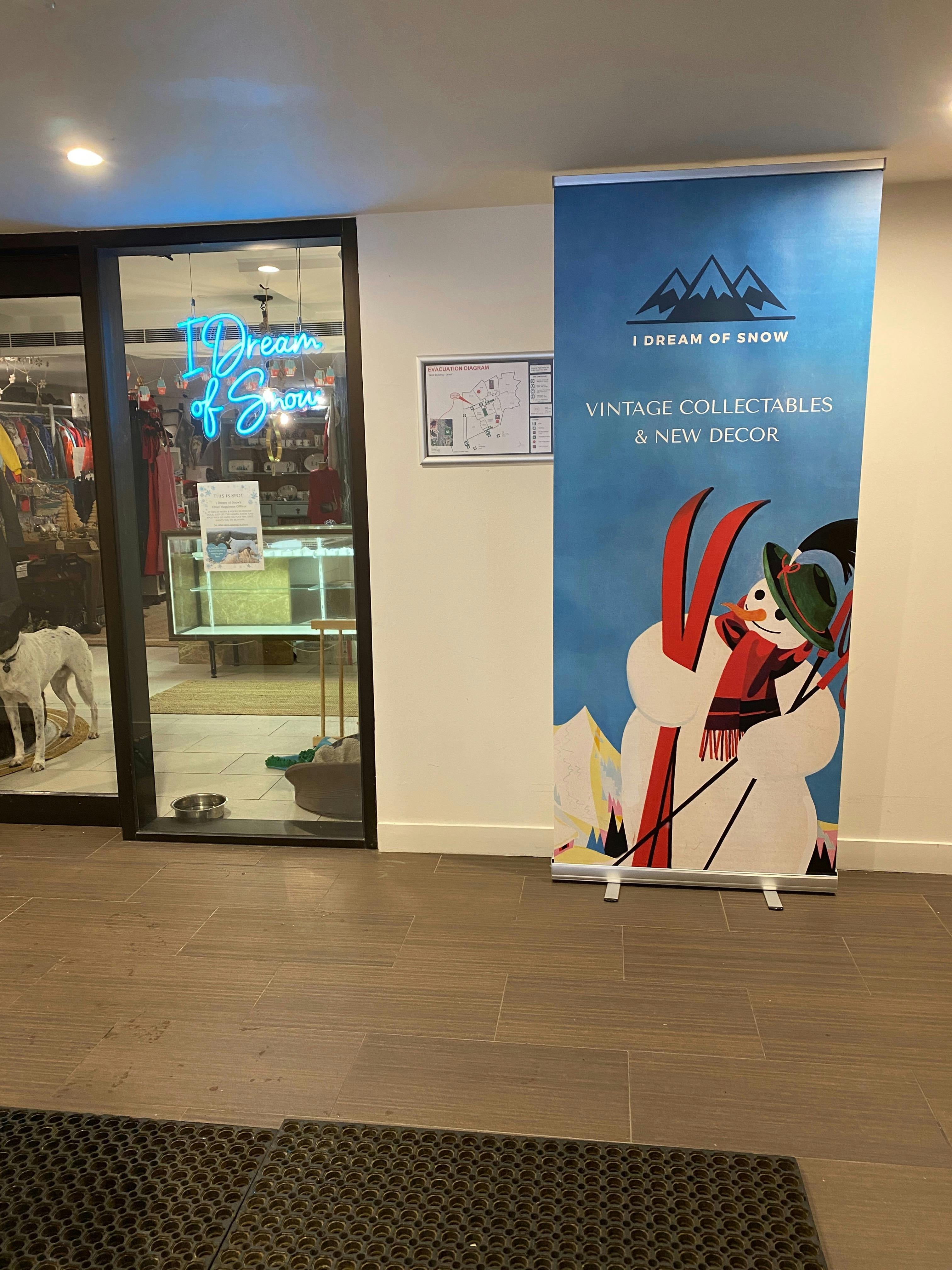 I Dream of Snow shop front