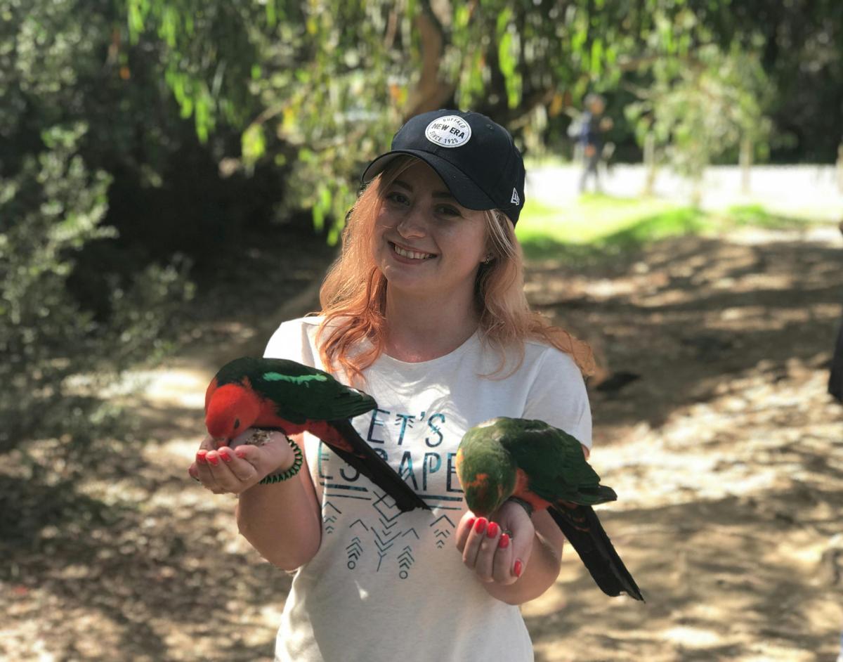 Great Ocean Road Reverse Itinerary Small Groups Tour