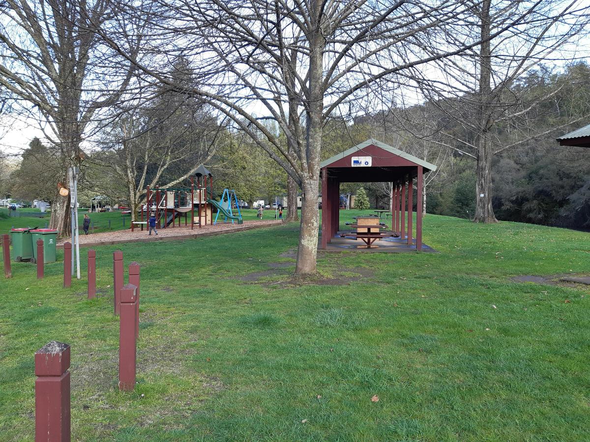 Jamieson riverbank