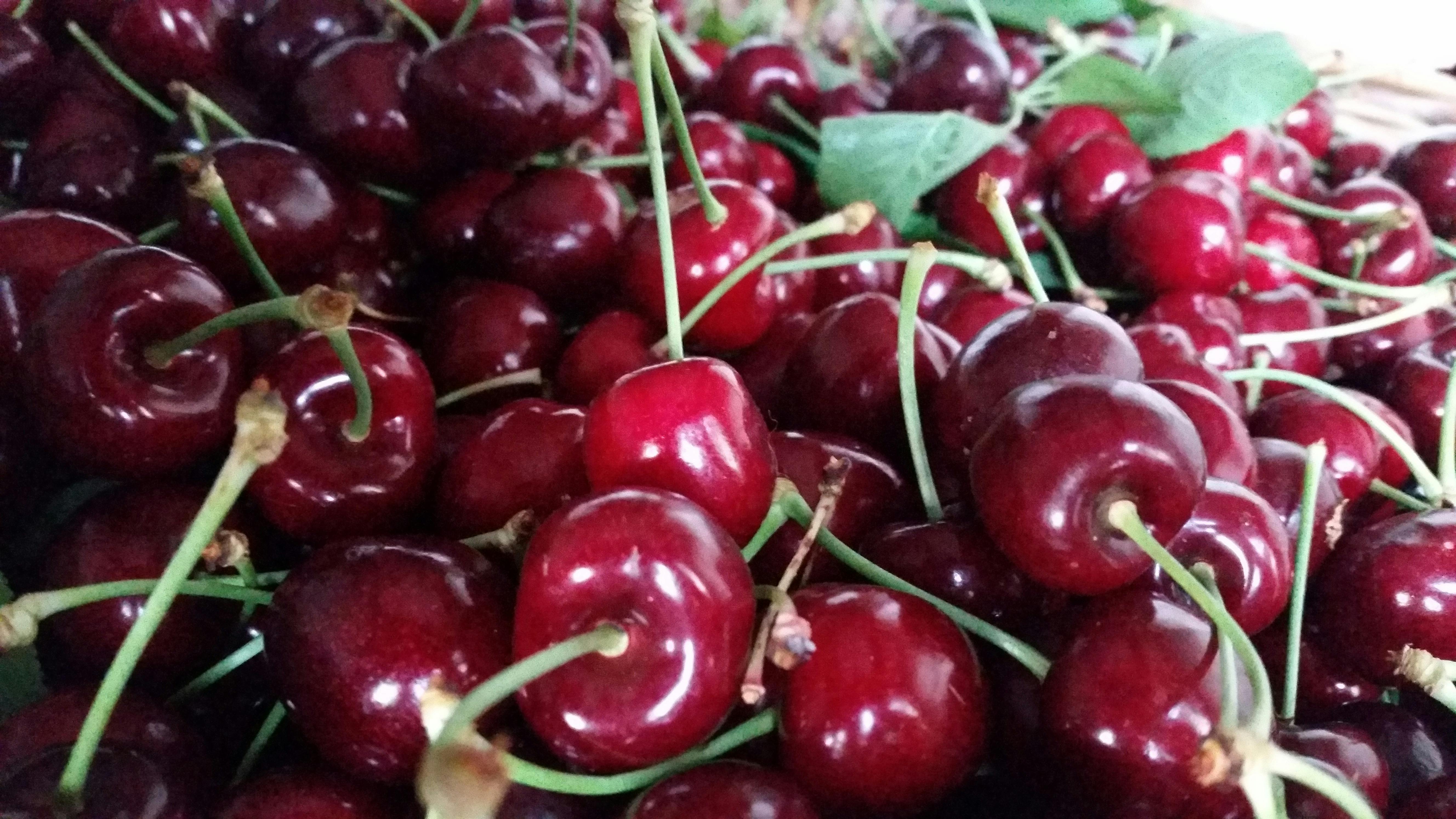 Pick Your Own Berries Cherries Beechworth Stanley North East Victoria