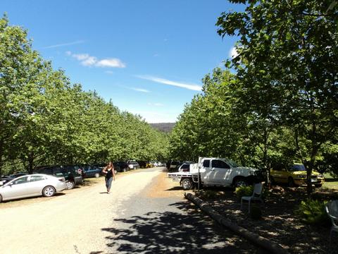 High Grove Berry Farm