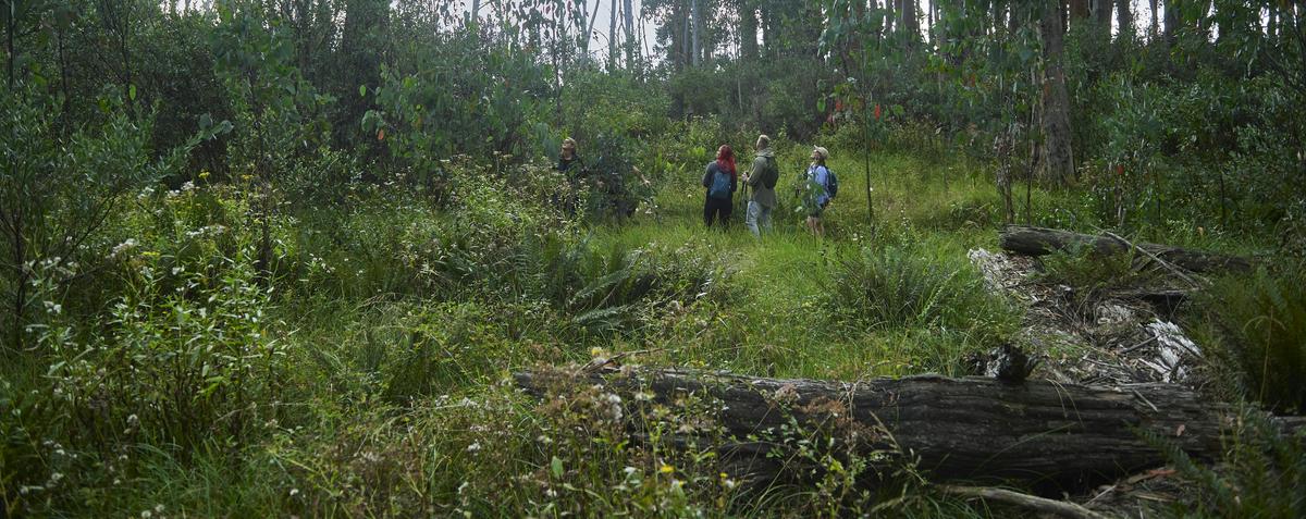 On the trails of the High Country