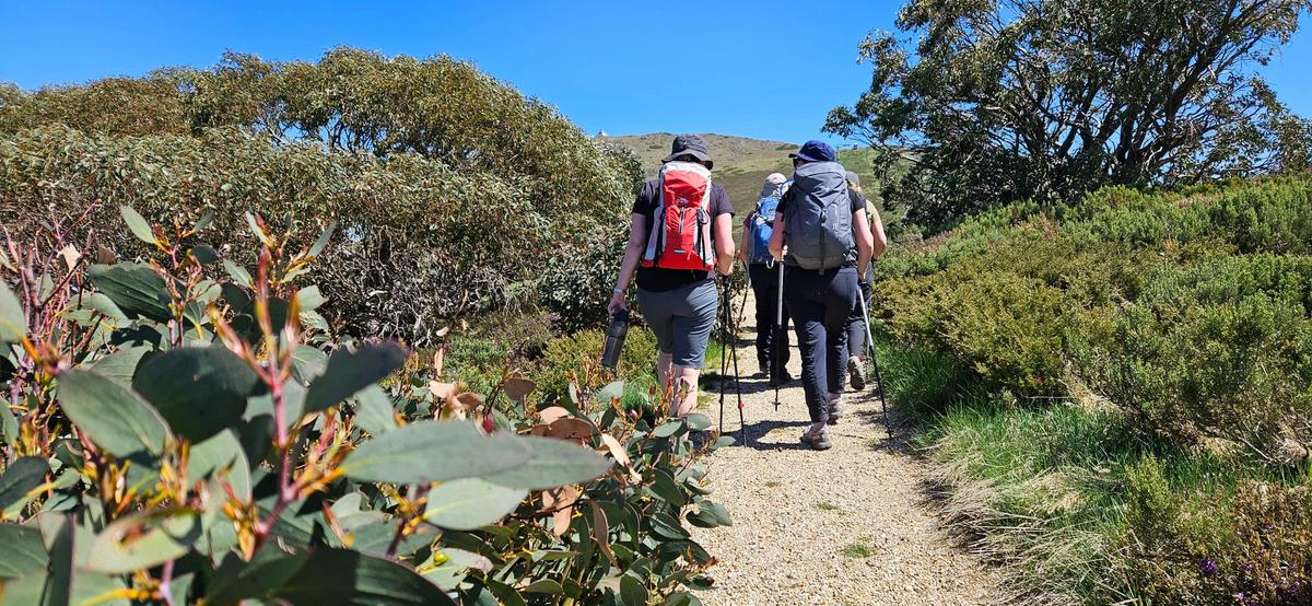 Along the Nature Trail at Mt Buller.