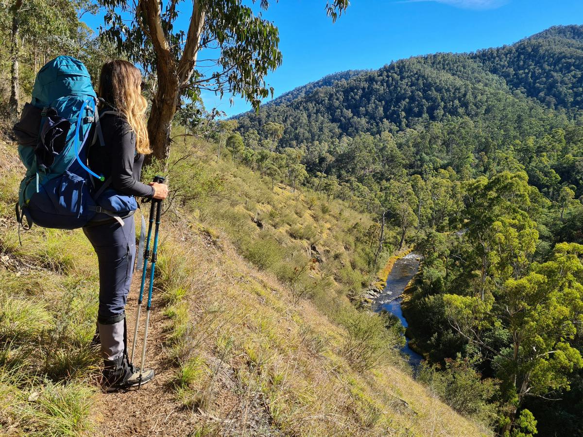 Hiking high up above the Howqua River.