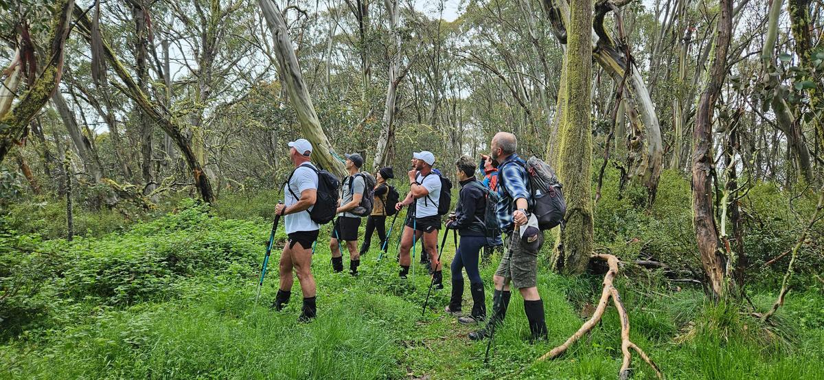 Admiring the trees of Mt Stirling.