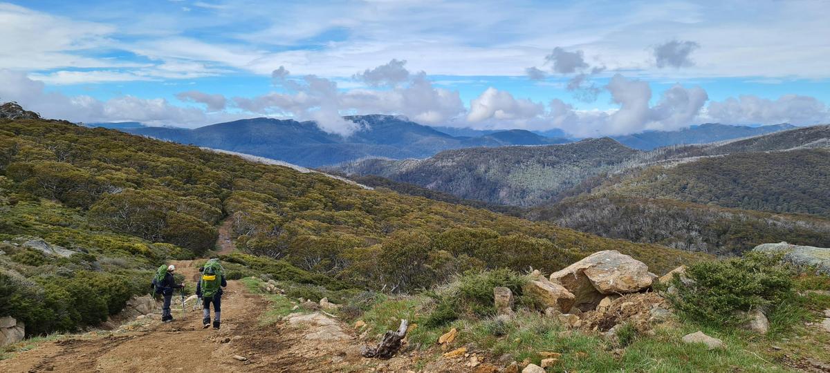 Hikers heading down from Mt Stirling, destination Mt Buller over Corn Hill.