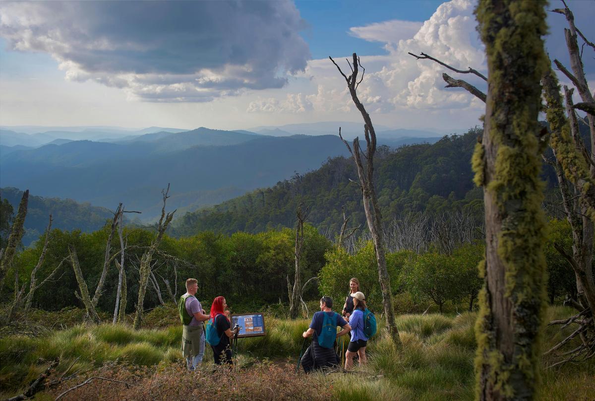 Soaking up High Country views from a track just below Craig's Hut.