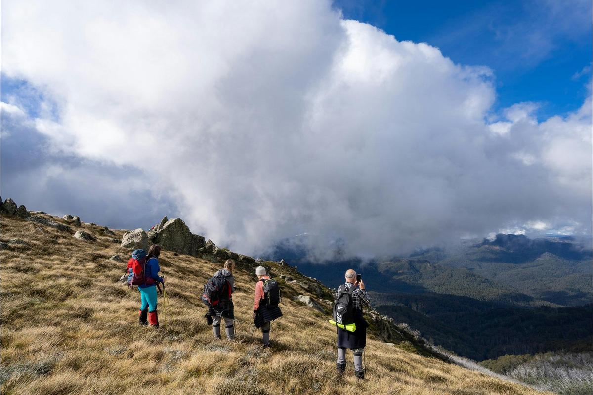 Soaking up the views from Mt Stirling.