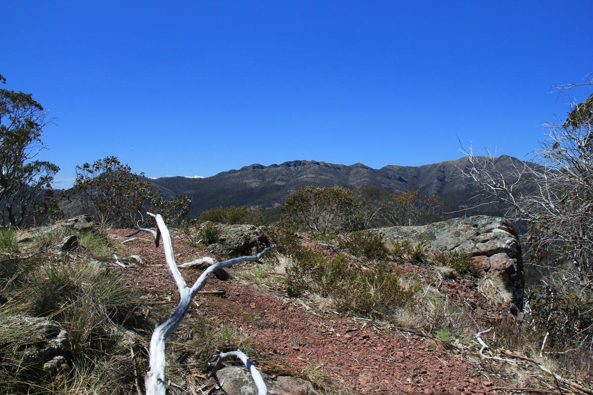 From Mt Thorn, a view of The Crosscut Saw and Mt Howitt.
