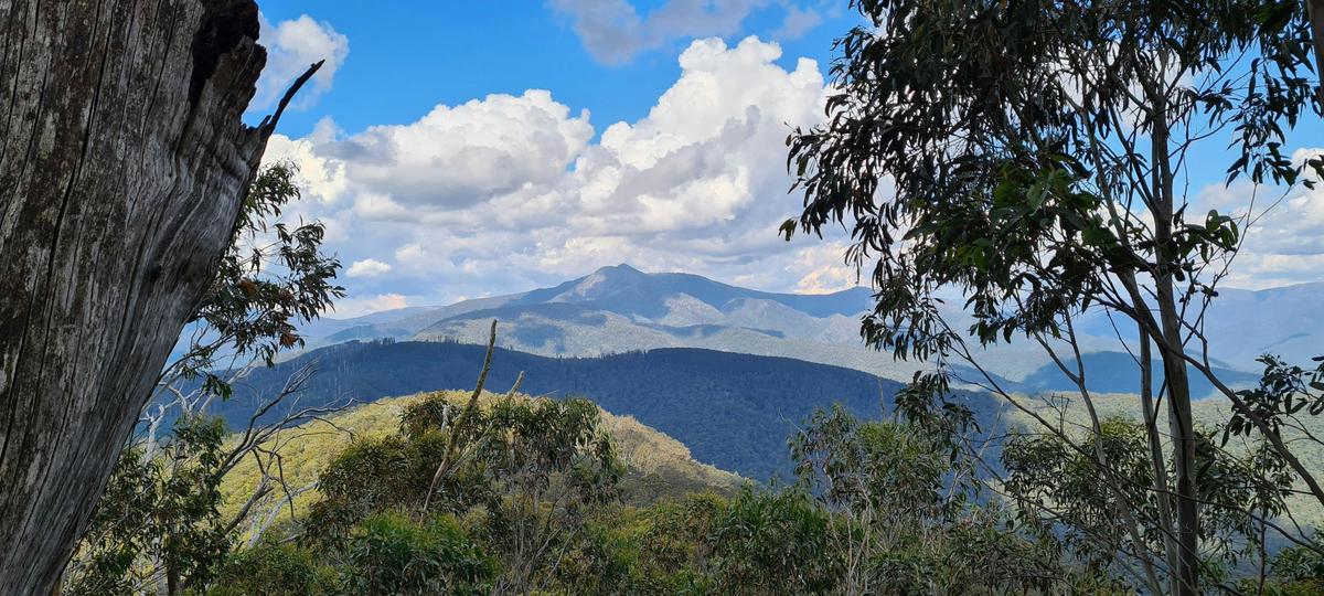 Mt Buller views from Mt Timbertop.