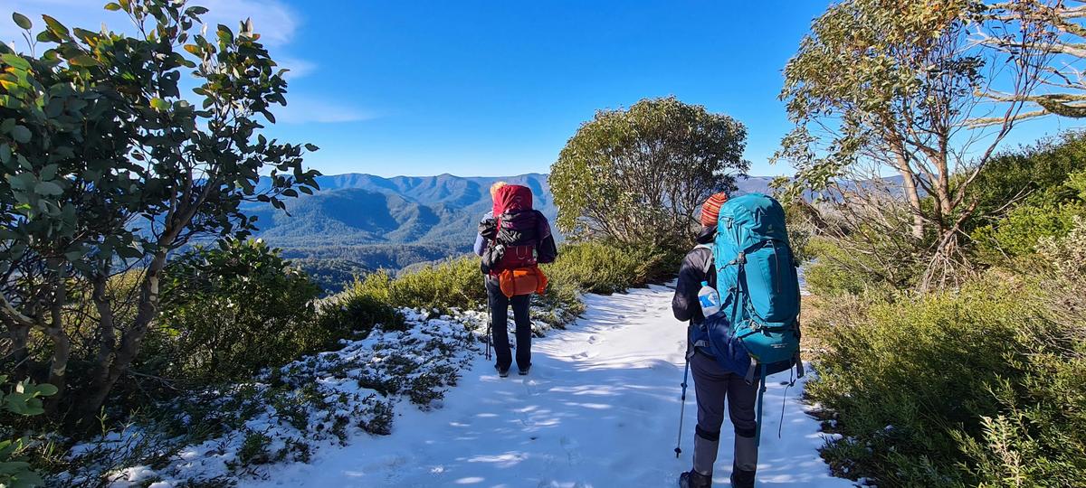 Autumn in the High Country