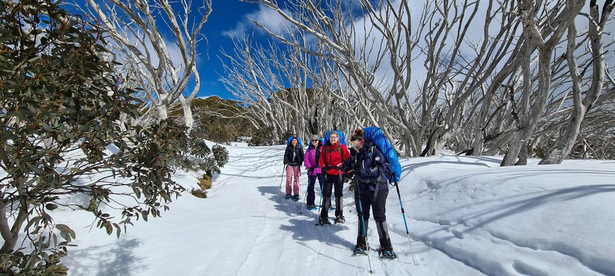 On the way to Craig's Hut along Clear Hills Track.