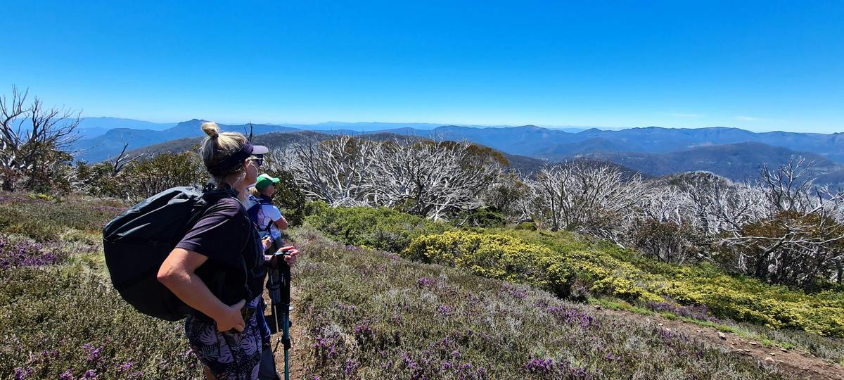 The view in this spot stretches from Mt McDonald to Mt Buffalo.