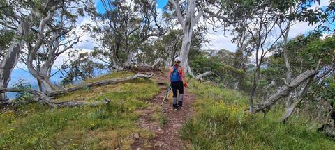 A hiker on the summit of Mt Timbertop.