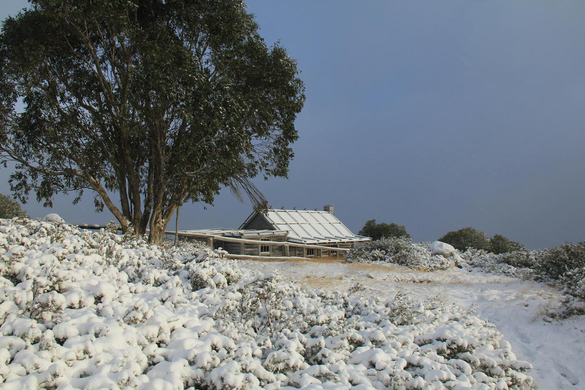 Winter wonderland at Craig's Hut.