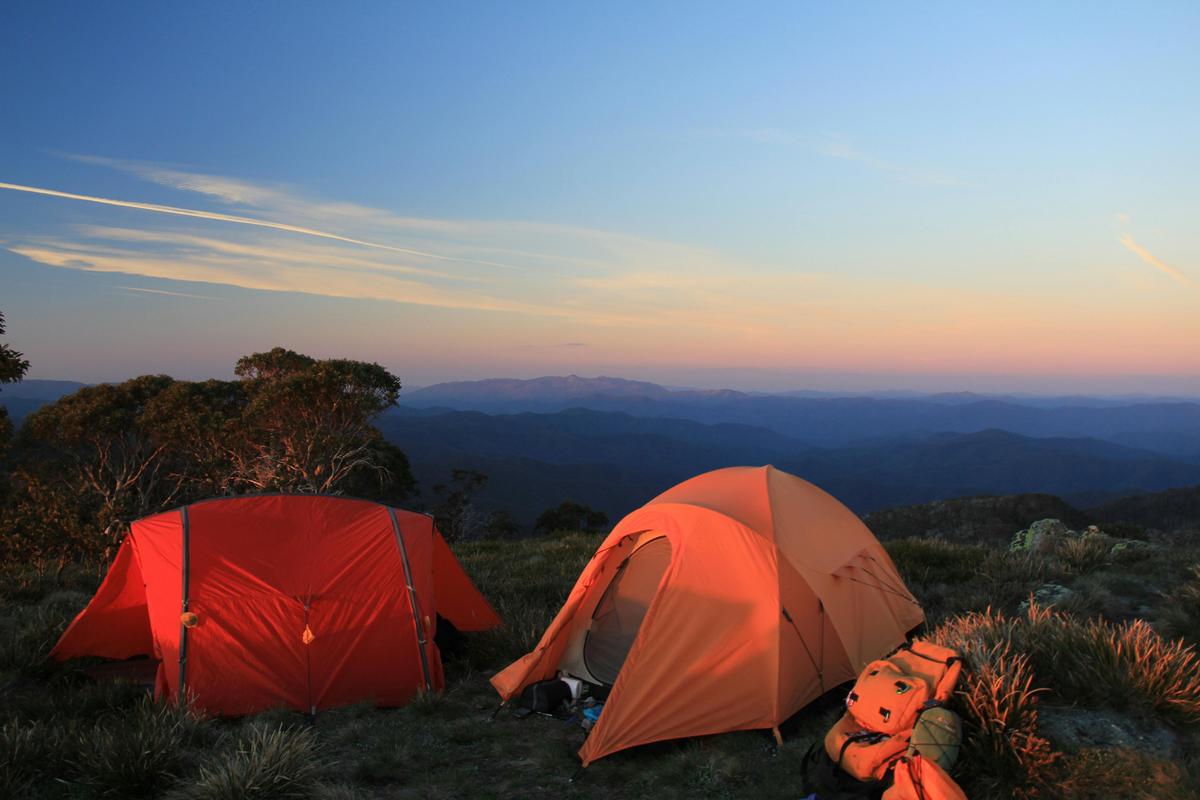 Crosscut Saw Adventure