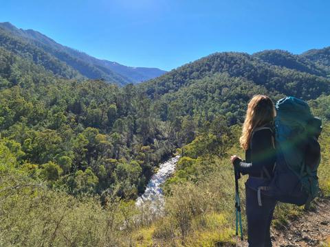 On the upper trail to Ritchie's Hut.