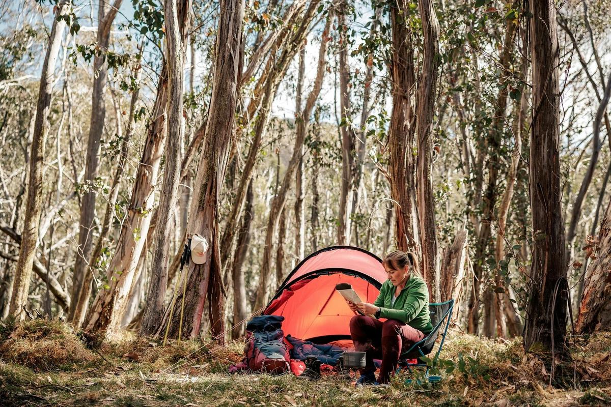 Camping amongst the Snow Gums
