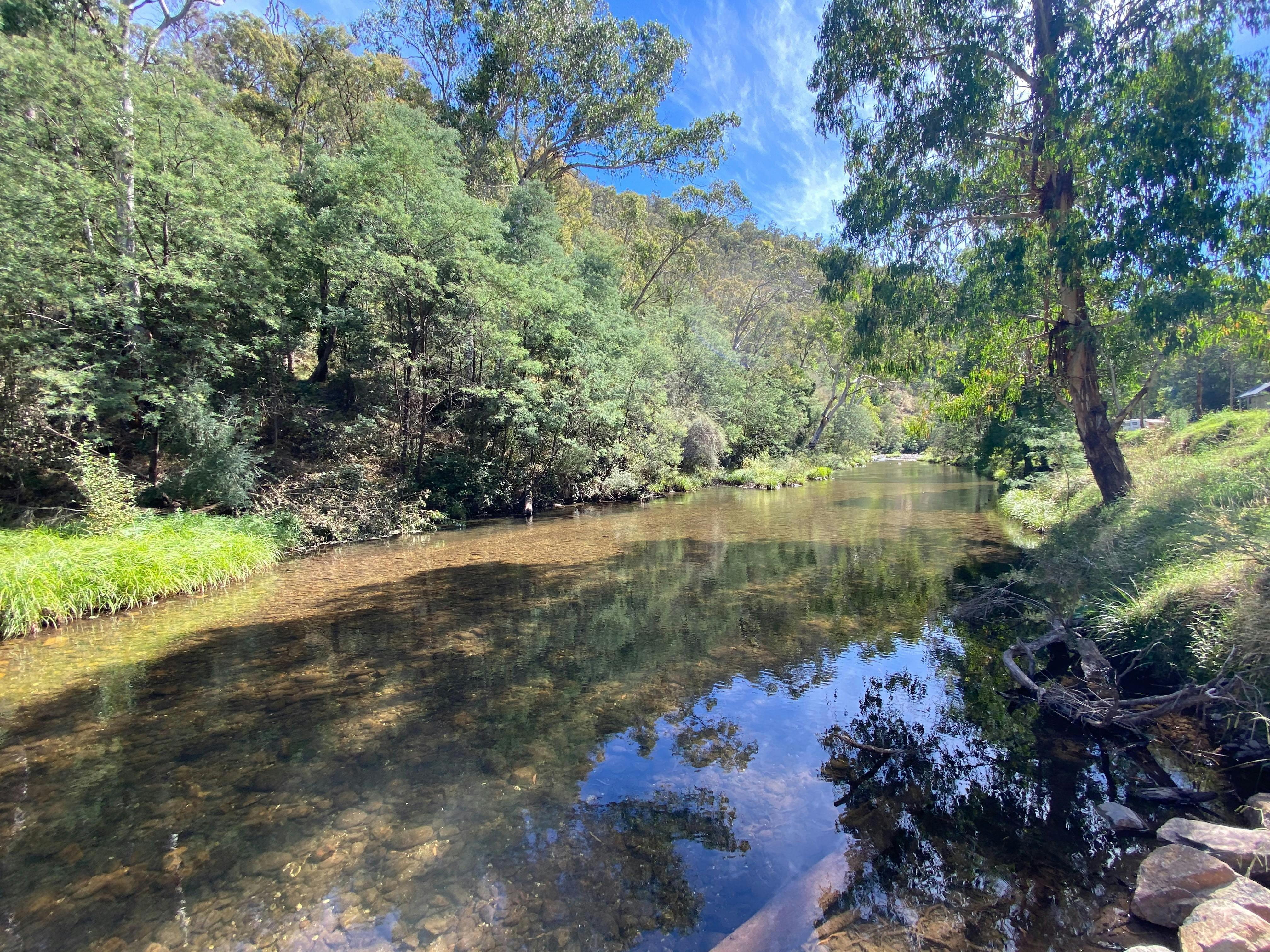 Jamieson River at Grannys Flat