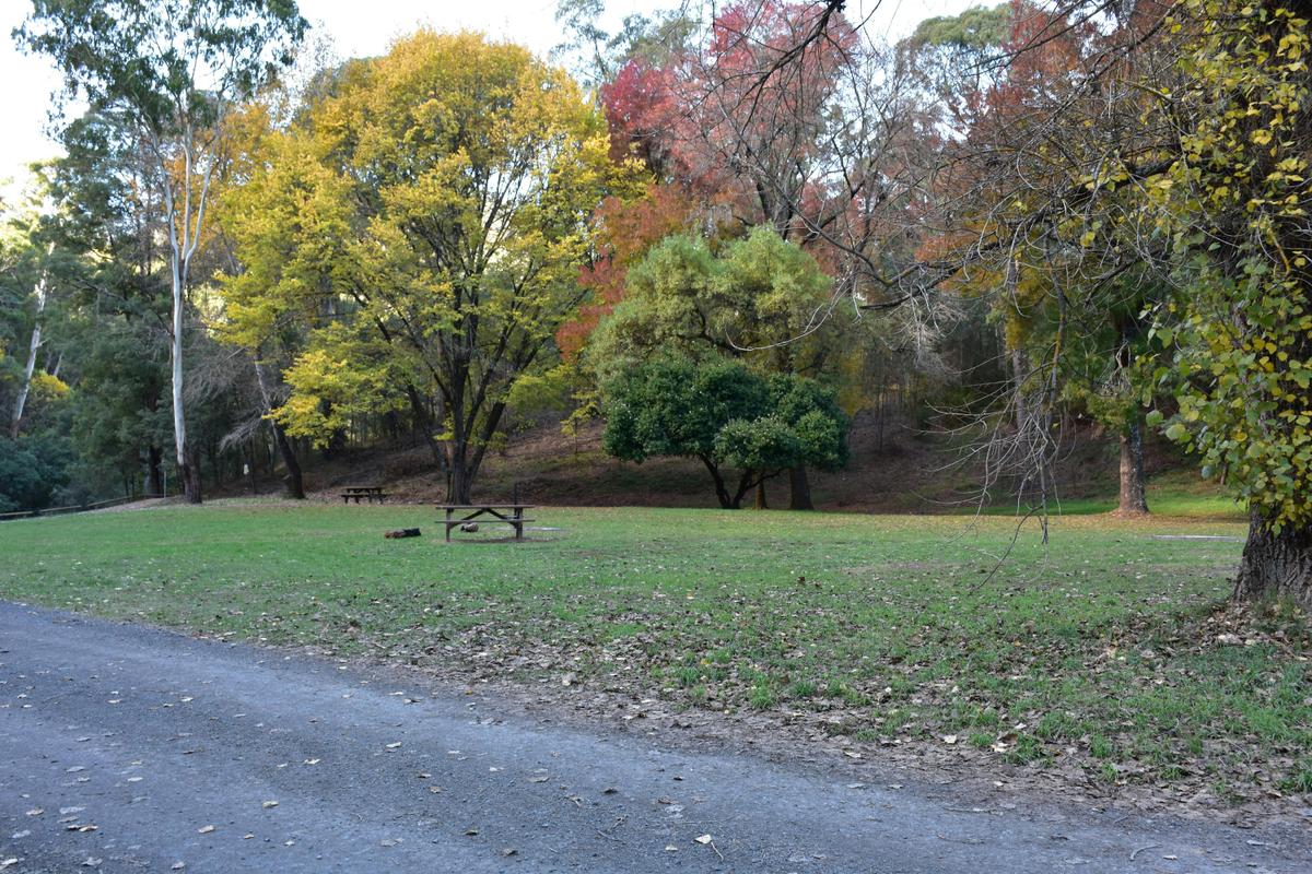 Grannys Flat camping area