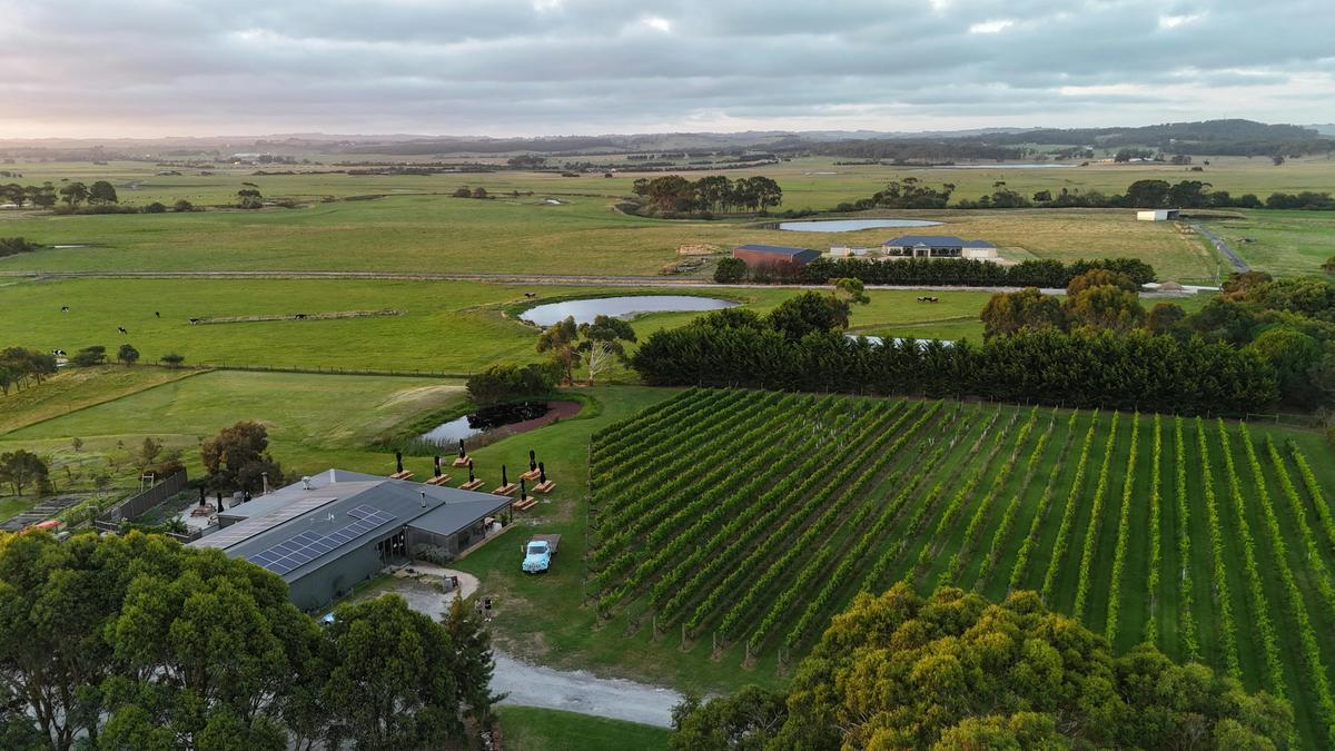Aerial View - Harman Wines