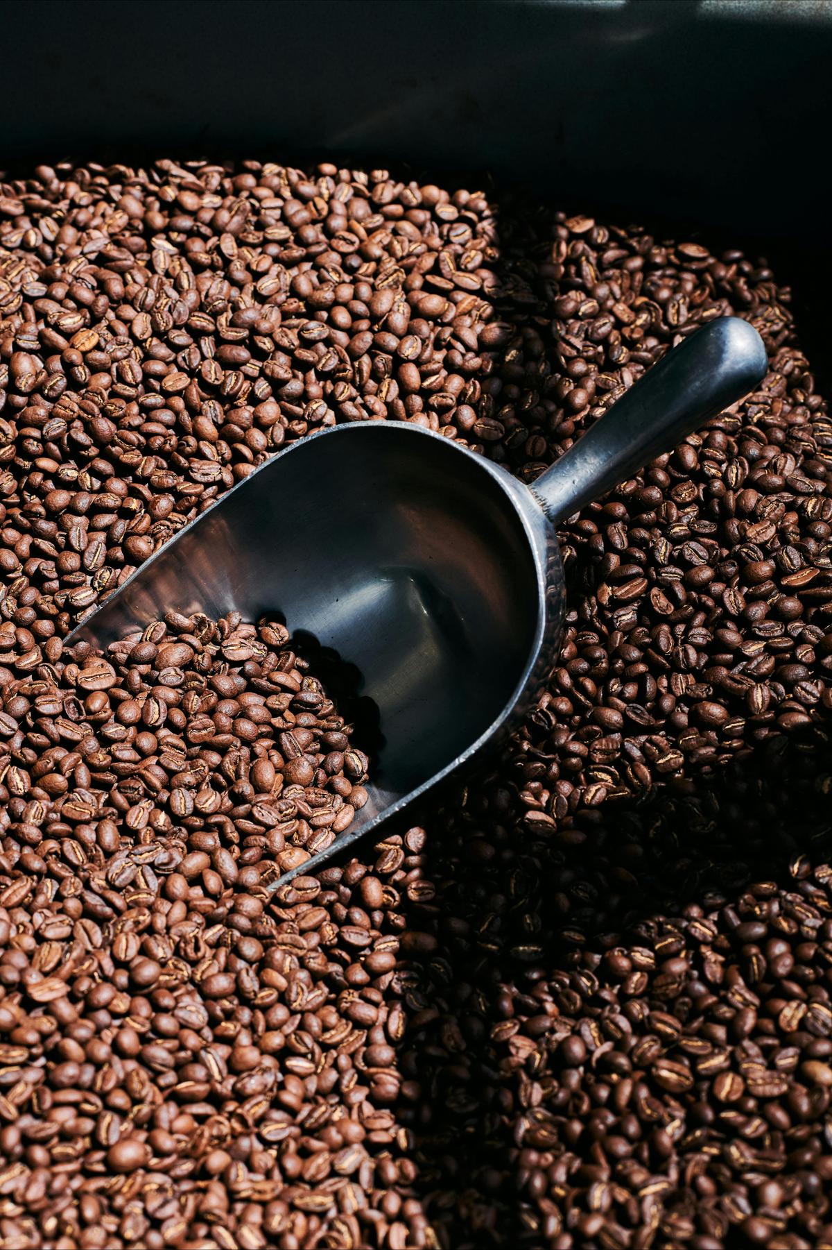 Freshly roasted coffee beans