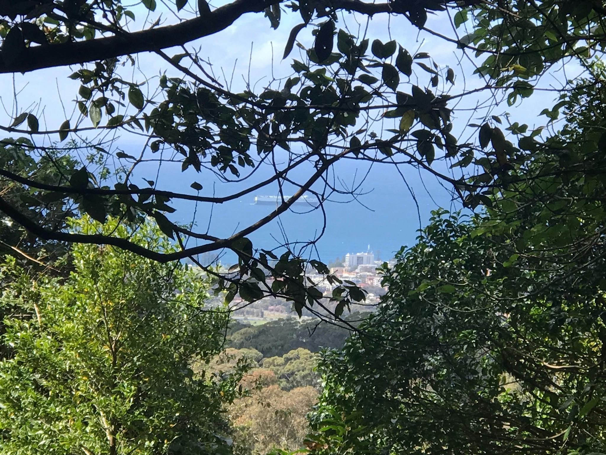 View  from walking track