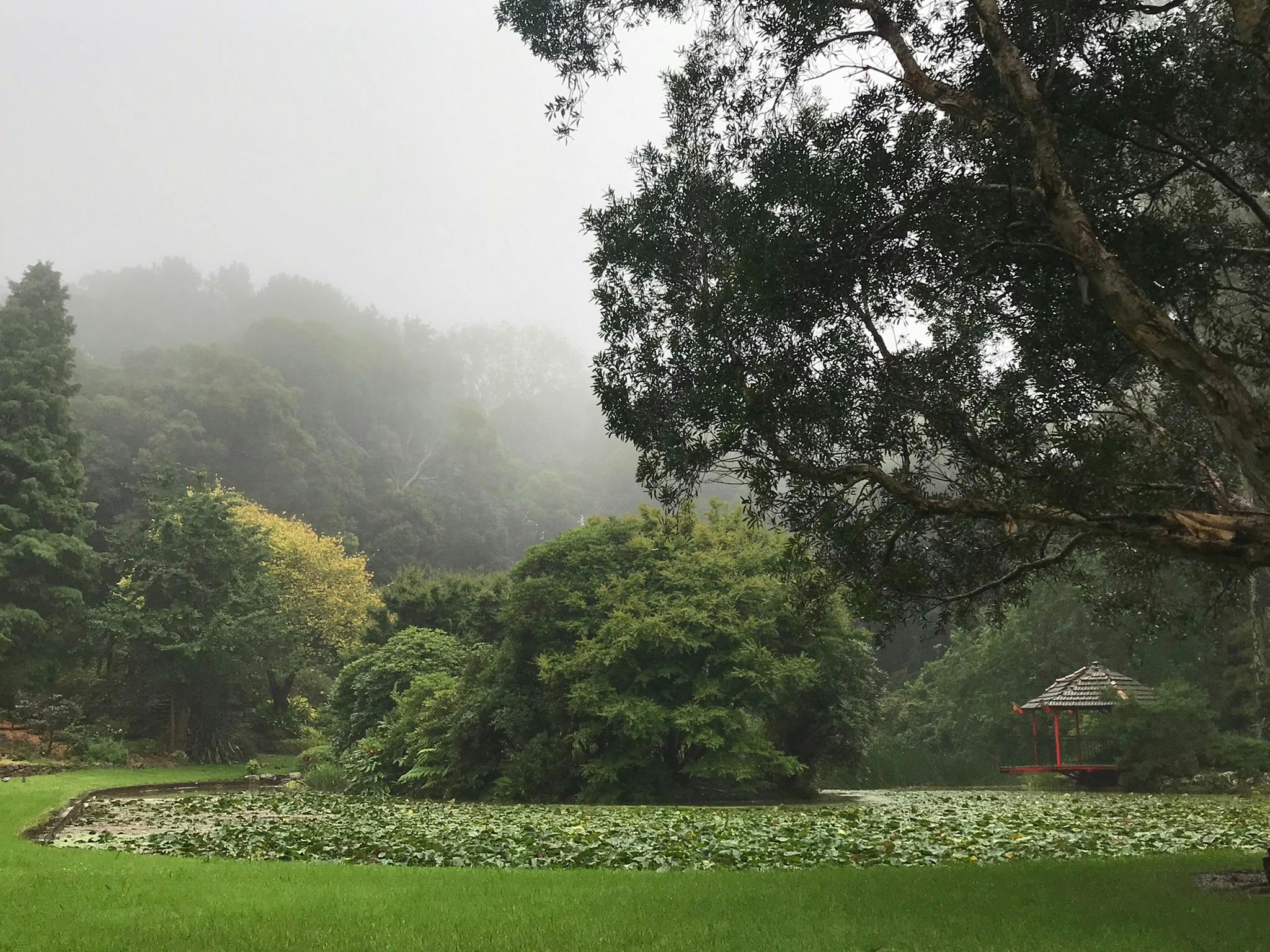 View across the lake towards the escarpment