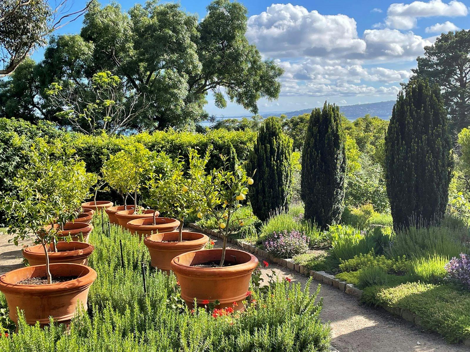 Heronswood Citrus Garden