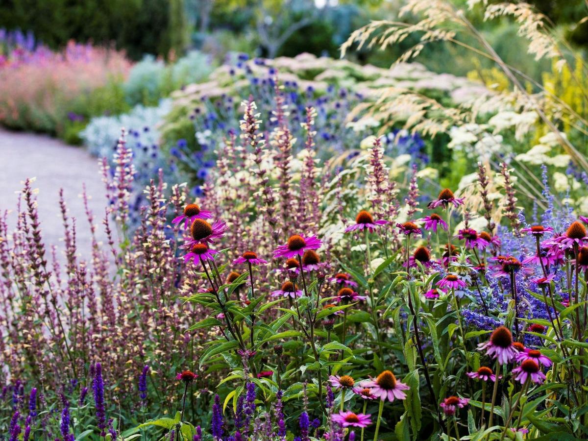 Heronswood Perennial Border