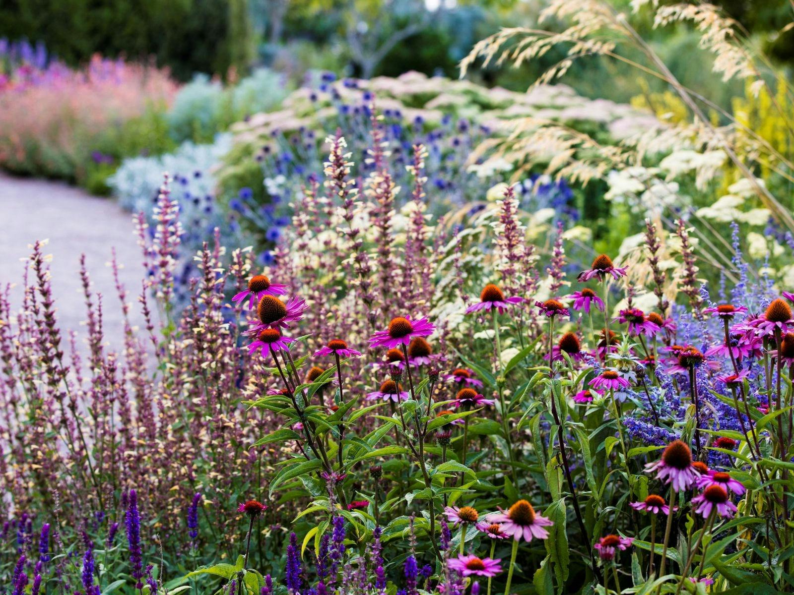 Heronswood Perennial Border