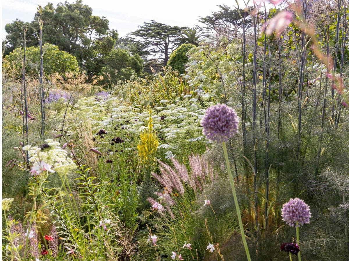 Heronswood Dry Garden