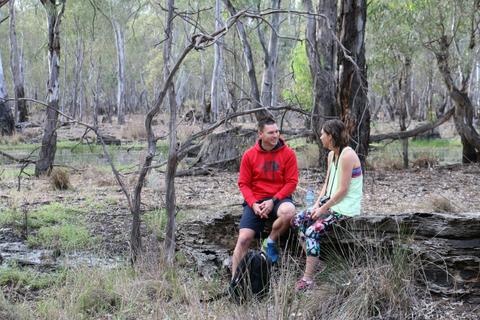Gunbower Island Forest Drive