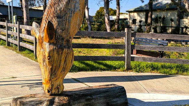Horse Head at Pocket Park