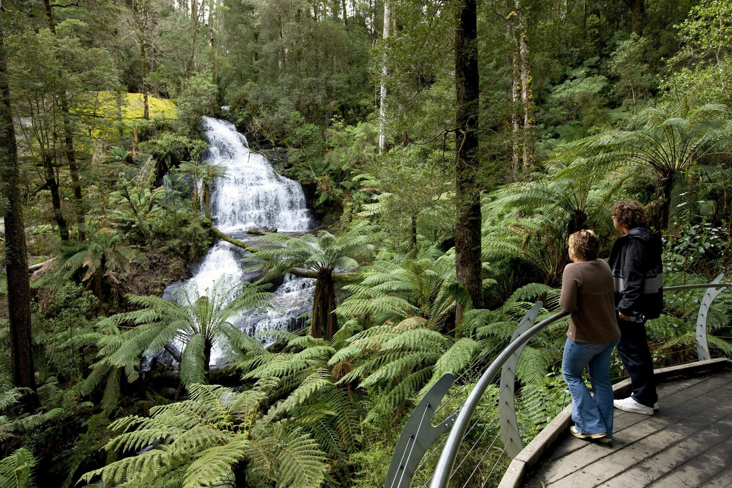 Great Otway National Park edit