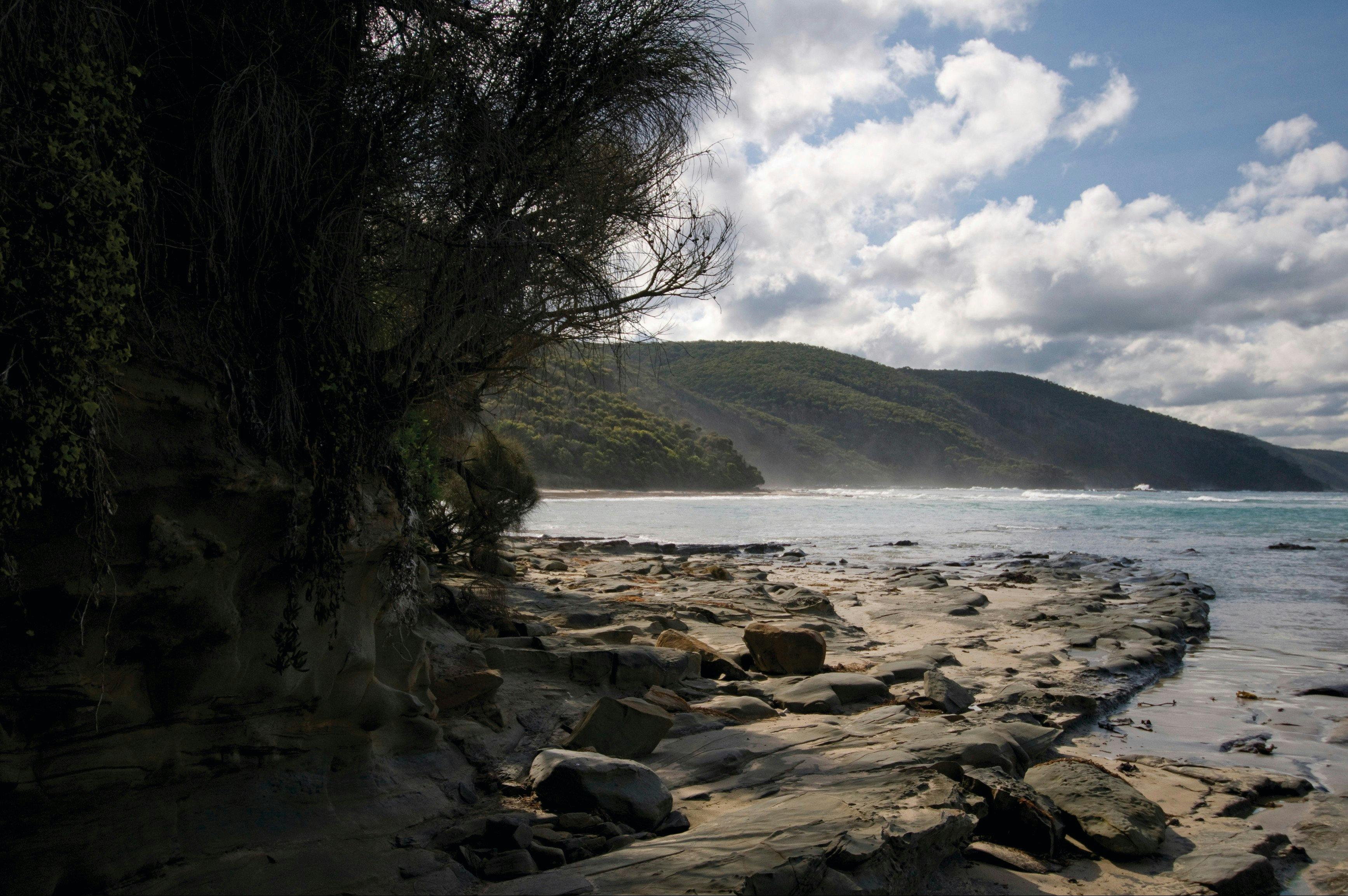 Great Otway National Park edit
