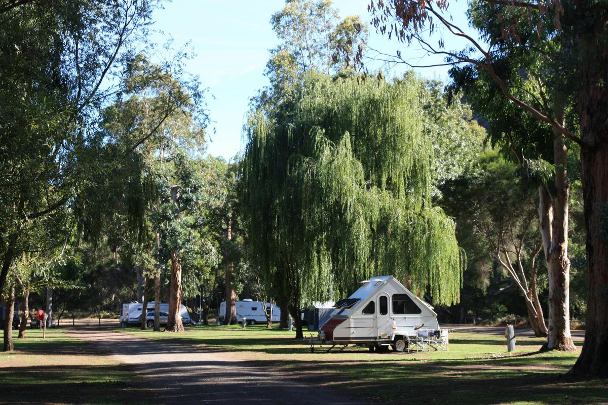 Powered Site at the back of the park