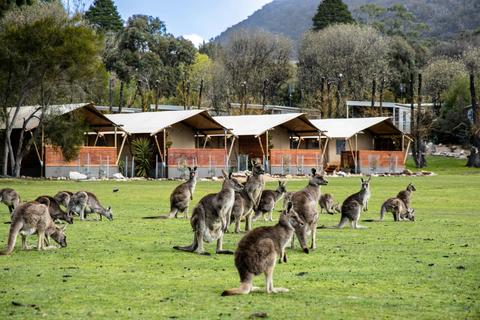 The ultimate Australian glamping experience.