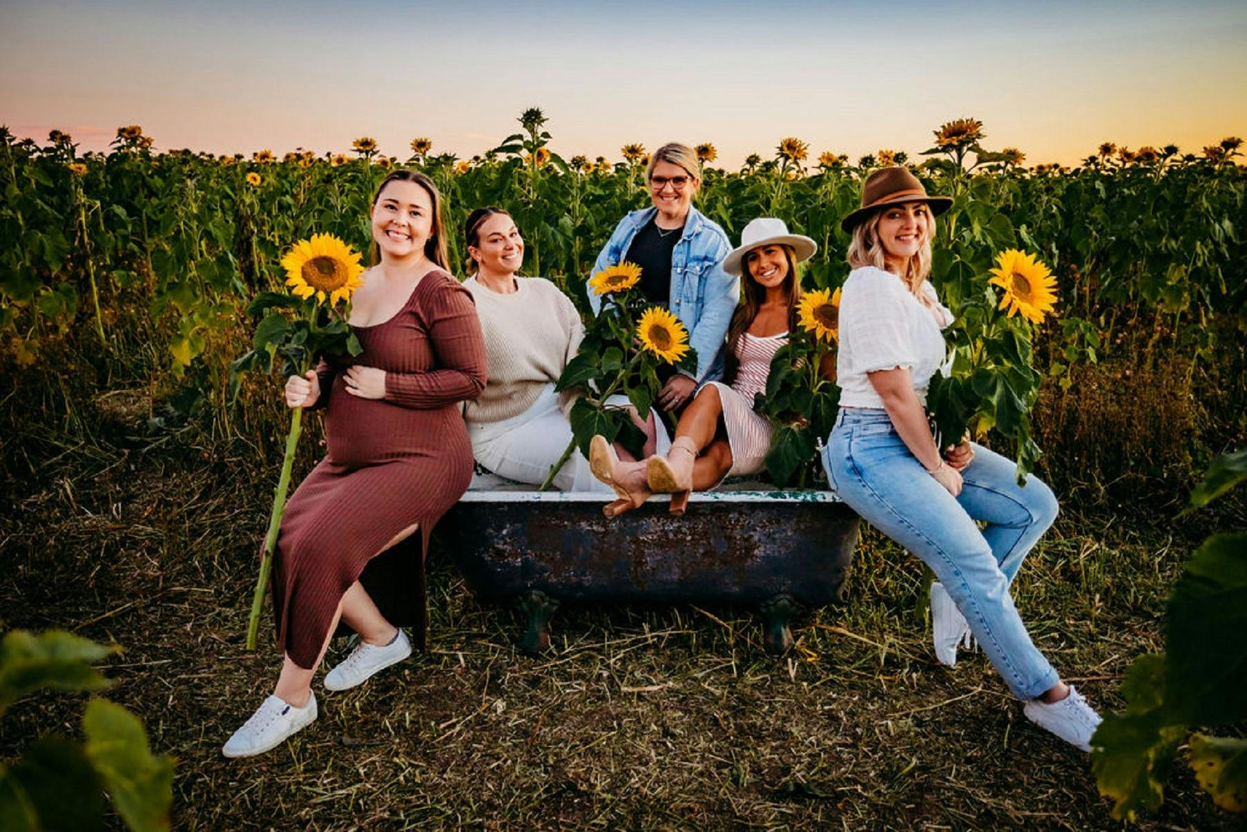 Hunter Valley Sunflowers