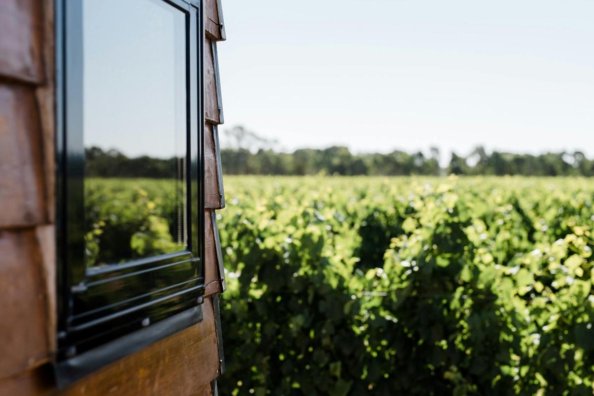 Jones Tiny House Rutherglen vineyard view